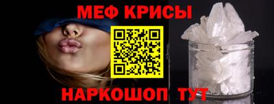 гашик Кингисепп