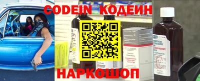 гашик Кингисепп