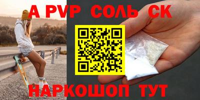 гашик Кингисепп