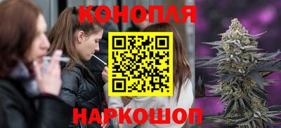 гашик Кингисепп