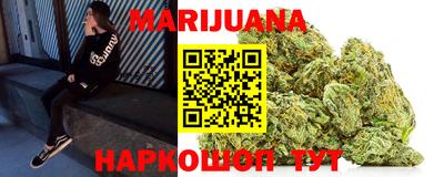 гашик Кингисепп