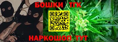 гашик Кингисепп