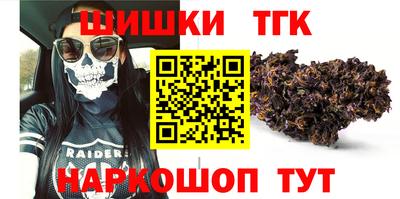 гашик Кингисепп