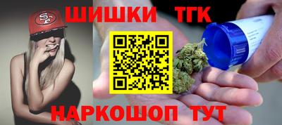 гашик Кингисепп