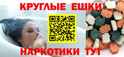 гашик Кингисепп