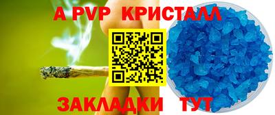 гашик Кингисепп