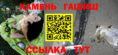 гашик Кингисепп