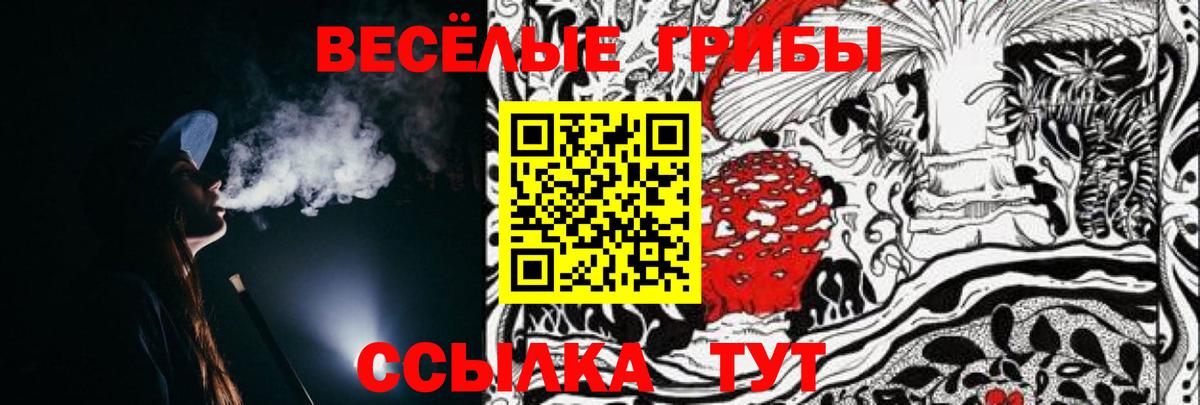 Псилоцибиновые грибы Magic Shrooms Конаково